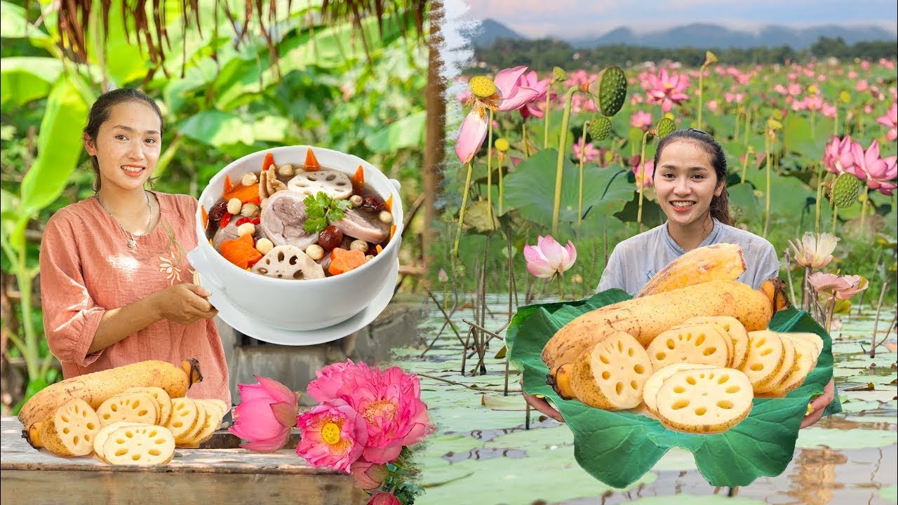 Harvesting Lotus Roots: Fresh Ingredients for Delicious Asia…